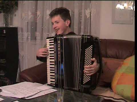 Akkordeon Denis Novato Cover