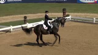 TSF Dalera BB décroche le titre de Trakehner de l'année 2019