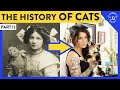The History of Cats: Part II