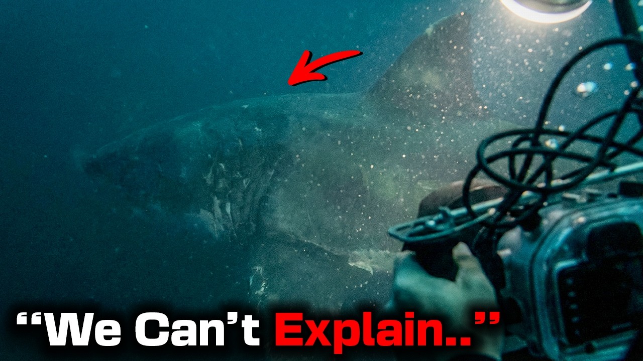 Thumbnail Download HD Thumbnail (1280x720)