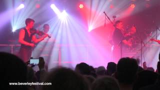 Peatbog Faeries @ Beverley Folk Festival 2015