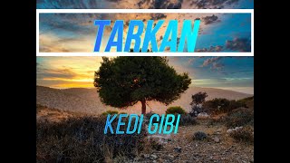TARKAN - Kedi Gibi  (lyrics)