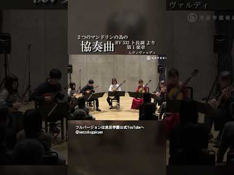 ２つのマンドリンの為の協奏曲 RV 532 ト長調 より 第１楽章