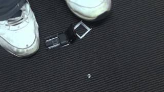 Hey Sonny the montage