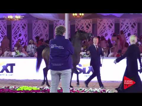 N.270 JUBER AL SHAQAB - Asharqia Classic 2018
