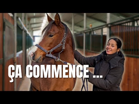 I'm (almost) realizing my dream of being a horse rider