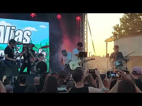 aljas kúszóbab-dupla koncert