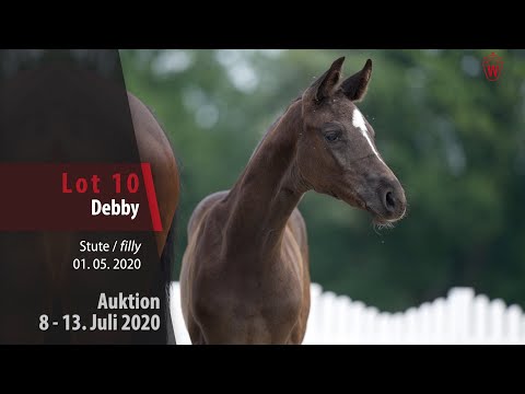 Online Auktion 9. - 13. Juli: Lot 10 Debby Stute v. Dancier Gold - Sir Donnerhall I