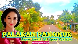 Download lagu PALARAN PANGKUR SUPER JERNIH❗️GAWE ATI AYEM TENTREM❗️KONCO NGASO HARI LIBUR ANDA mp3
