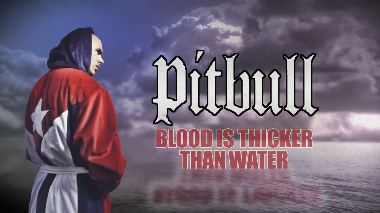 Pitbull -Blood Is Thicker Than Water (Official Visualizer) | El Mariel - 20th Anniversary