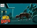 Wild Kratts Searching For An Ocelot Animals