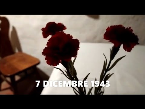 7 Dicembre 1943 | Cosa ti ha spinto a seguirlo?