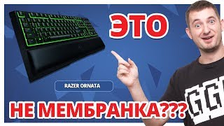 Razer Ornata Chroma (RZ03-02040700-R3R1) - відео 4