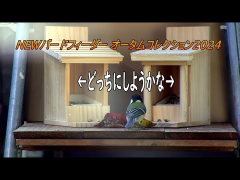 シジュウカラをバルコニーに引き寄せる方法は？彼らの冬の好きな食べ物は何ですか?  庭園