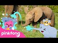 Baby Elephant Thump Thump Thump Baby Animals Songs Pinkfong For Kids