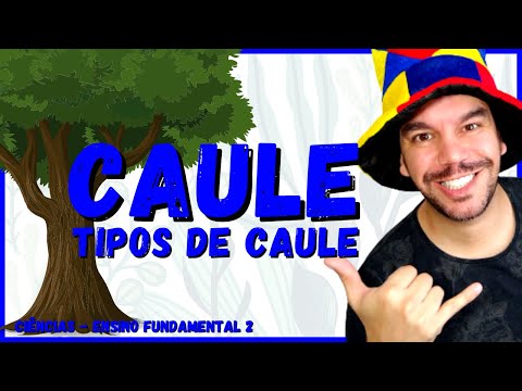 CAULE - TIPOS DE CAULES | Esquema completo | Ciências/Biologia | Botânica Ensino Fundamental e Médio