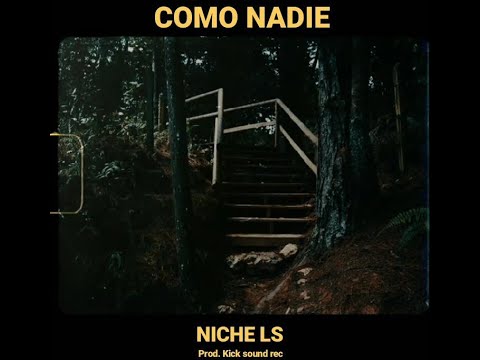 NICHE LS - COMO NADIE