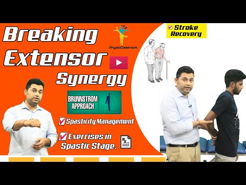 AN INTRODUCTION TO BRUNNSTROM APPROACH MOVEMENT THERAPY IN HEMIPLEGIA