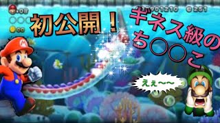 #9【NewスーパーマリオブラザーズUデラックス】マリオのあそこが大暴走