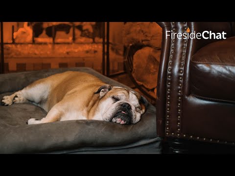 Fireside Chat Ep. 180 — Or Maybe Just Otto | Fireside Chat