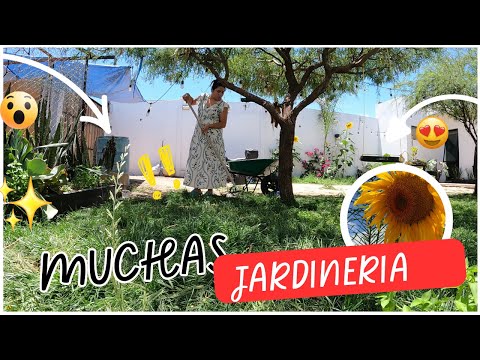 MI DIA CAMBIO TOTALMENTE CUANDO HICE JARDINERIA