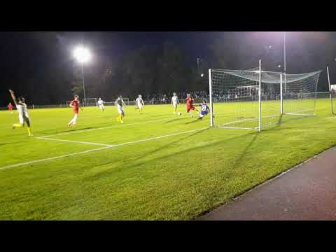 1.FC Mühlhausen - VfR Mannheim / Das 0:2 durch Benedikt Koep