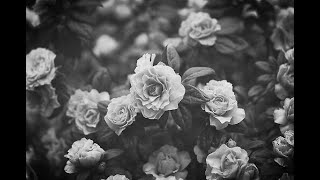 [Elsword NA] Twilight EXP farm + Furious Blade raid gameplay