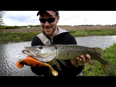 Headbanger Lures UNSCRIPTED MOVEMENT!