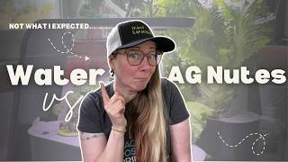 AeroGarden Experiment: Plain Water vs Nutrients (Side-by-Side Test)