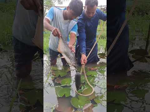 #fishing #funny #fish 🥰😯