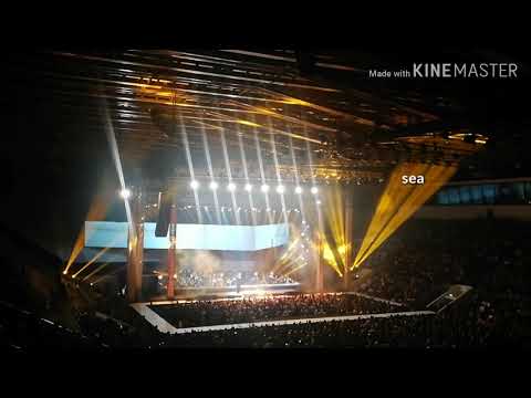 Tulus - Sewindu (Konser Monokrom Tulus) | 6 Februari 2019 - Istora Senayan