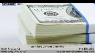 preview picture of video 'Perrysburg Carpet Cleaner'
