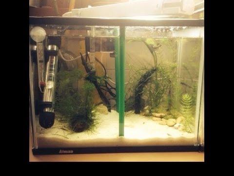 Fish tank Divider for Betta Fish-cheap solution