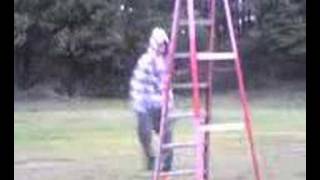 The Hamster Dance Dance