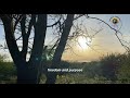 VISIT HADZABE WITH SUNSET TANZANIA ADVENTURE
