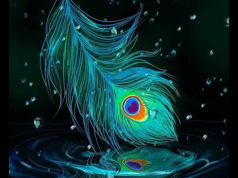 Mor pankh mathe par chada 💫💫🦚🦚|| Radha krishna status #shorts #viral