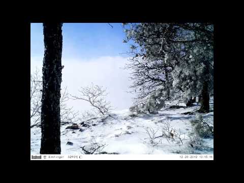 Mount Magazine State Park Christmas Winter Storm (12/26/2012)