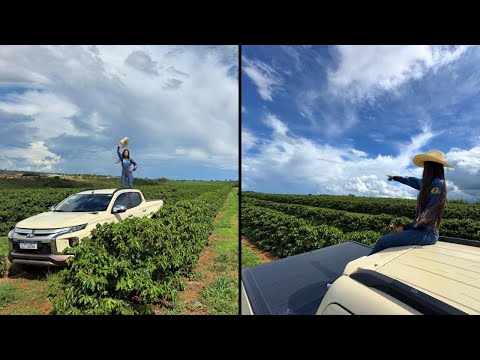 CONHECENDO A NOVA FAZENDA EM MINAS GERAIS 😱