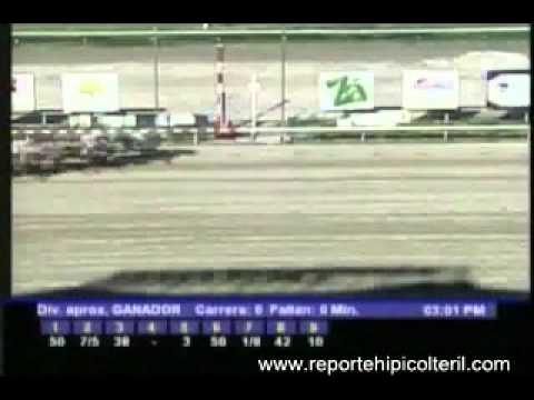 Resumen Sábado 26 de Noviembre de 2011 - La Rinconada