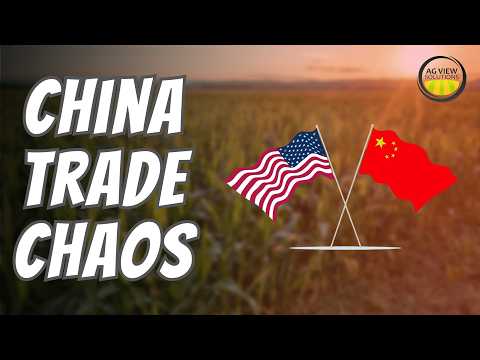 Cva Grain Bids