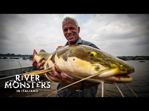 NON PUÒ ESSERE VERO! 🎣 Le Catture PIÙ ASSURDE della Terza Stagione di River Monsters (Stagione 3!)