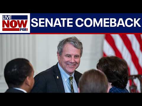 Video | Sherrod Brown eyes Senate comeback in Ohio | LiveNOW from FOX