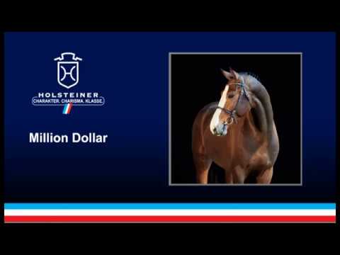 Million Dollar - Plot Blue x Vigo d'Arsouilles,  Holsteiner Verbandshengste 2019