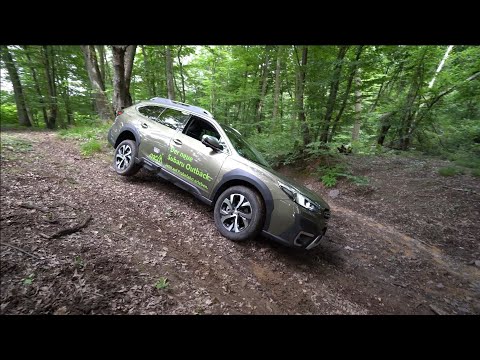 Offroad Kombi: Subaru Outback 2021 4x4 am Limit Offroad gefahren. Max. Steigungen im Wald. XXL Doku.
