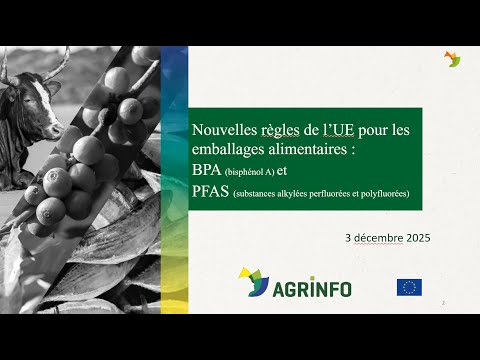 Nouvelles règles de l'UE relatives aux emballages alimentaires
