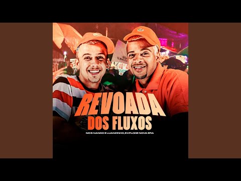 Revoada dos fluxos