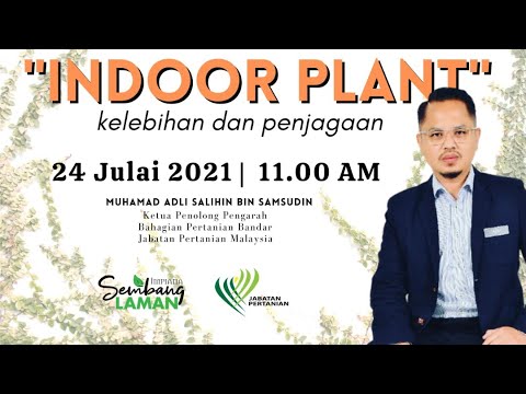 , title : 'Indoor Plant - Kelebihan & Penjagaan'