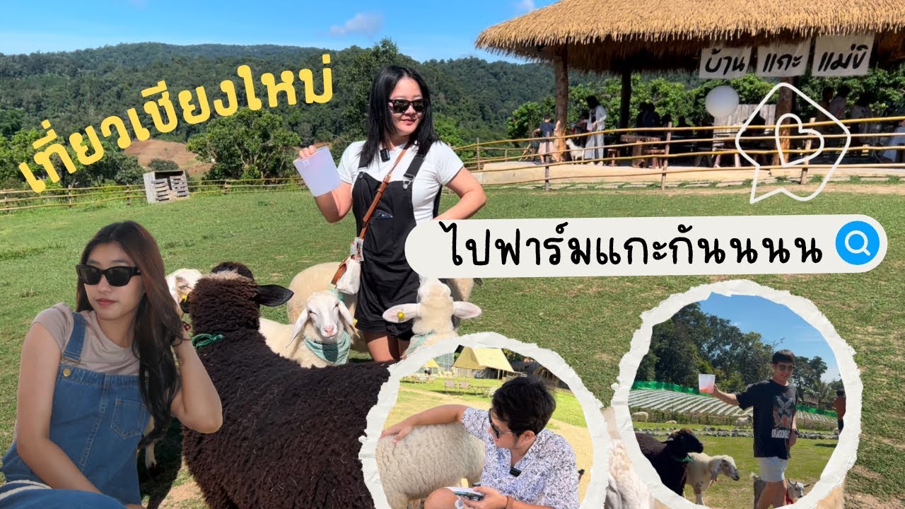 บ้านแกะแม่ขิ