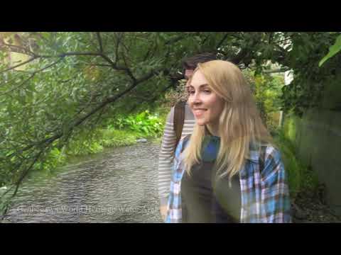 The Old Tokaido Highway in Shizuoka - Mishima