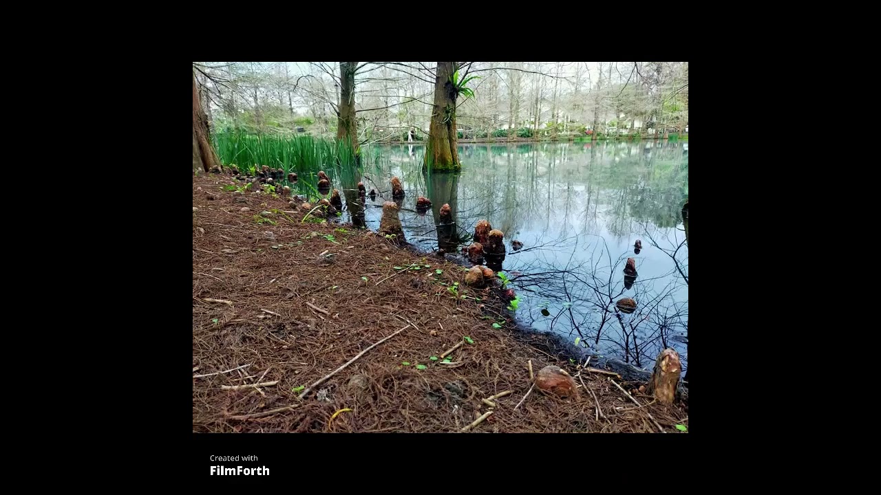 仁美巡守隊東部旅遊